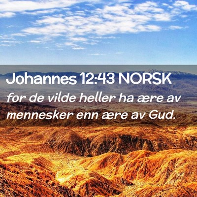Picture 02 - Johannes 12:43 NORSK - for de vilde heller ha ære av mennesker enn ære - Bible Verse Picture