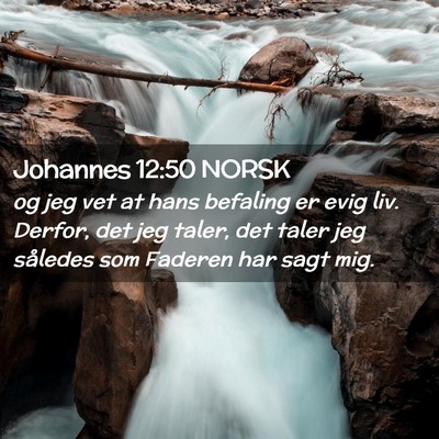 Picture 02 - Johannes 12:50 NORSK - og jeg vet at hans befaling er evig liv. Derfor, - Bible Verse Picture