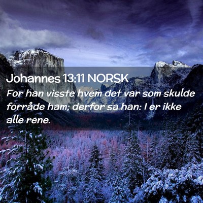 Picture 02 - Johannes 13:11 NORSK - For han visste hvem det var som skulde forråde - Bible Verse Picture