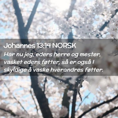 Picture 02 - Johannes 13:14 NORSK - Har nu jeg, eders herre og mester, vasket eders - Bible Verse Picture
