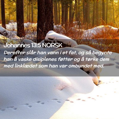 Picture 02 - Johannes 13:5 NORSK - Derefter slår han vann i et fat, og så begynte - Bible Verse Picture
