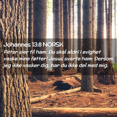 Picture 02 - Johannes 13:8 NORSK - Peter sier til ham: Du skal aldri i evighet vaske - Bible Verse Picture