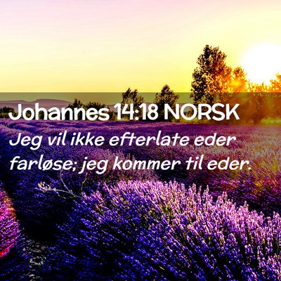Picture 02 - Johannes 14:18 NORSK - Jeg vil ikke efterlate eder farløse; jeg kommer - Bible Verse Picture