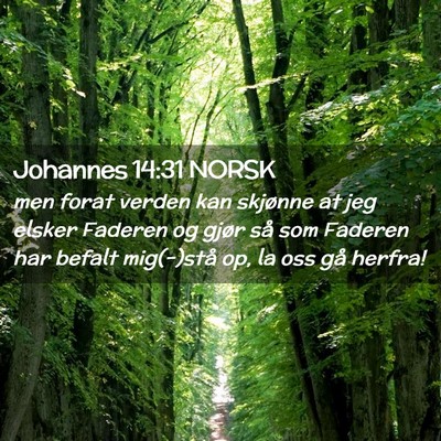 Picture 02 - Johannes 14:31 NORSK - men forat verden kan skjønne at jeg elsker - Bible Verse Picture