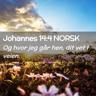 Picture 02 - Johannes 14:4 NORSK - Og hvor jeg går hen, dit vet I - Bible Verse Picture