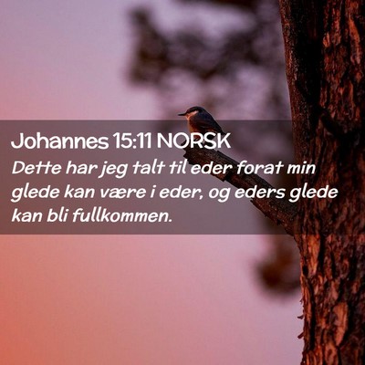 Picture 02 - Johannes 15:11 NORSK - Dette har jeg talt til eder forat min glede kan - Bible Verse Picture
