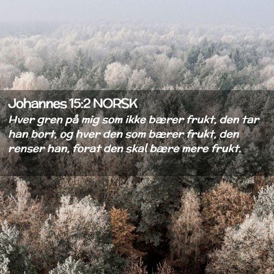 Picture 02 - Johannes 15:2 NORSK - Hver gren på mig som ikke bærer frukt, den tar - Bible Verse Picture