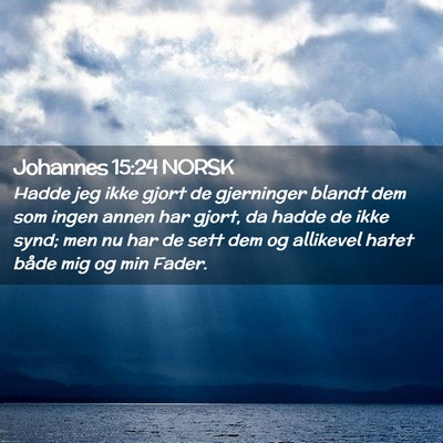 Picture 02 - Johannes 15:24 NORSK - Hadde jeg ikke gjort de gjerninger blandt dem som - Bible Verse Picture