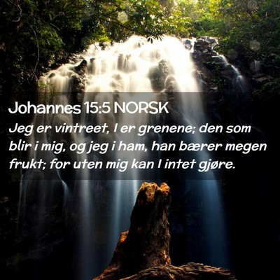 Picture 02 - Johannes 15:5 NORSK - Jeg er vintreet, I er grenene; den som blir i - Bible Verse Picture