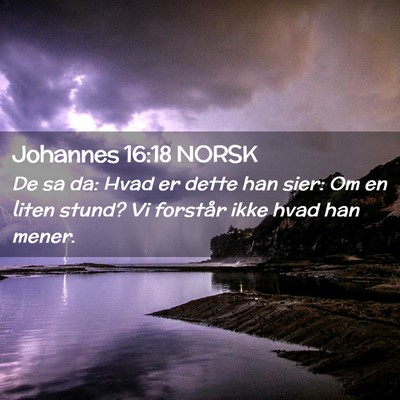 Picture 02 - Johannes 16:18 NORSK - De sa da: Hvad er dette han sier: Om en liten - Bible Verse Picture