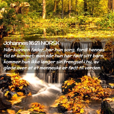 Picture 02 - Johannes 16:21 NORSK - Når kvinnen føder, har hun sorg, fordi hennes - Bible Verse Picture