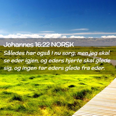 Picture 02 - Johannes 16:22 NORSK - Således har også I nu sorg; men jeg skal se - Bible Verse Picture