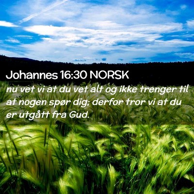 Picture 02 - Johannes 16:30 NORSK - nu vet vi at du vet alt og ikke trenger til at - Bible Verse Picture