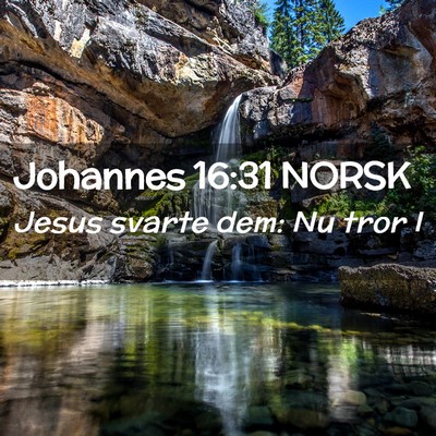 Picture 02 - Johannes 16:31 NORSK - Jesus svarte dem: Nu tror - Bible Verse Picture