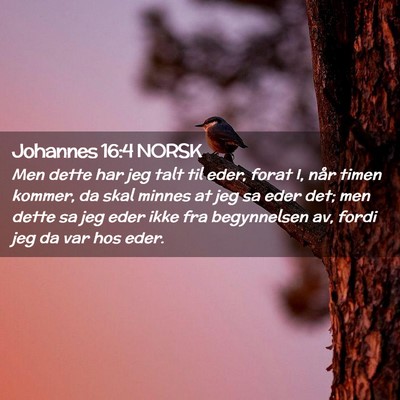 Picture 02 - Johannes 16:4 NORSK - Men dette har jeg talt til eder, forat I, når - Bible Verse Picture