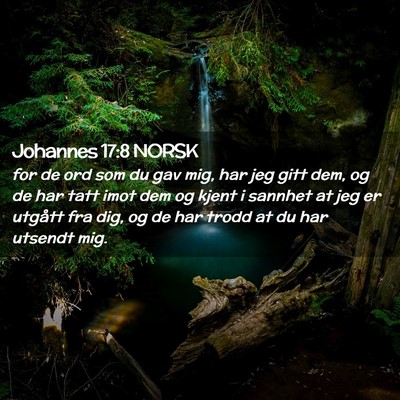 Picture 02 - Johannes 17:8 NORSK - for de ord som du gav mig, har jeg gitt dem, og - Bible Verse Picture