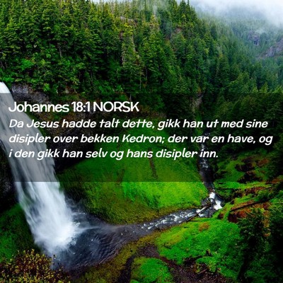 Picture 02 - Johannes 18:1 NORSK - Da Jesus hadde talt dette, gikk han ut med sine - Bible Verse Picture