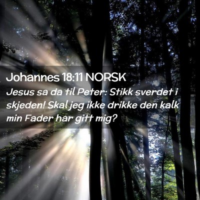 Picture 02 - Johannes 18:11 NORSK - Jesus sa da til Peter: Stikk sverdet i skjeden! - Bible Verse Picture