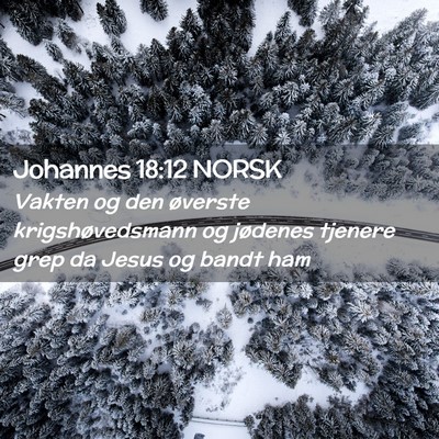 Picture 02 - Johannes 18:12 NORSK - Vakten og den øverste krigshøvedsmann og - Bible Verse Picture