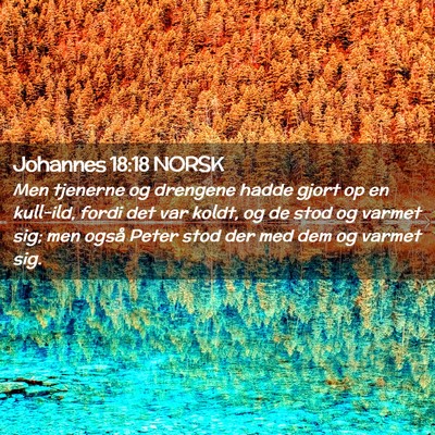 Picture 02 - Johannes 18:18 NORSK - Men tjenerne og drengene hadde gjort op en - Bible Verse Picture