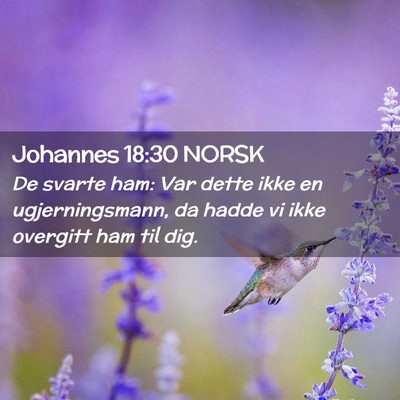 Picture 02 - Johannes 18:30 NORSK - De svarte ham: Var dette ikke en ugjerningsmann, - Bible Verse Picture