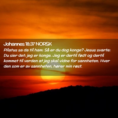 Picture 02 - Johannes 18:37 NORSK - Pilatus sa da til ham: Så er du dog konge? Jesus - Bible Verse Picture