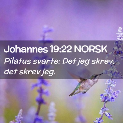 Picture 02 - Johannes 19:22 NORSK - Pilatus svarte: Det jeg skrev, det skrev - Bible Verse Picture