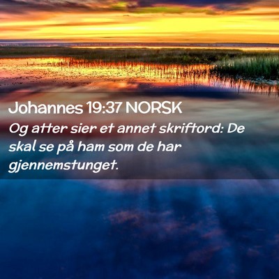 Picture 02 - Johannes 19:37 NORSK - Og atter sier et annet skriftord: De skal se på - Bible Verse Picture
