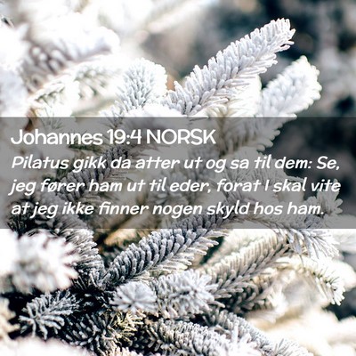 Picture 02 - Johannes 19:4 NORSK - Pilatus gikk da atter ut og sa til dem: Se, jeg - Bible Verse Picture