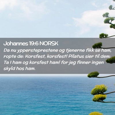 Picture 02 - Johannes 19:6 NORSK - Da nu yppersteprestene og tjenerne fikk se ham, - Bible Verse Picture