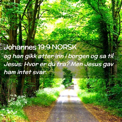 Picture 02 - Johannes 19:9 NORSK - og han gikk atter inn i borgen og sa til Jesus: - Bible Verse Picture