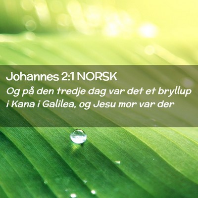 Picture 02 - Johannes 2:1 NORSK - Og på den tredje dag var det et bryllup i Kana i - Bible Verse Picture