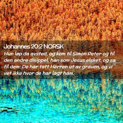 Picture 02 - Johannes 20:2 NORSK - Hun løp da avsted, og kom til Simon Peter og til - Bible Verse Picture