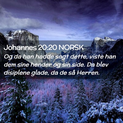 Picture 02 - Johannes 20:20 NORSK - Og da han hadde sagt dette, viste han dem sine - Bible Verse Picture