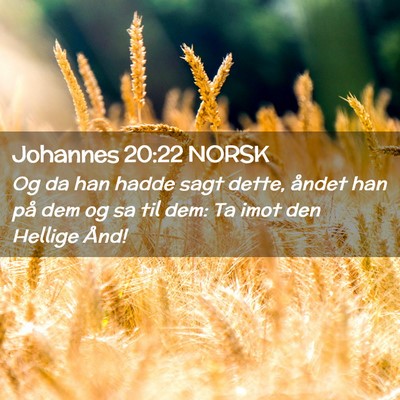 Picture 02 - Johannes 20:22 NORSK - Og da han hadde sagt dette, åndet han på dem og - Bible Verse Picture