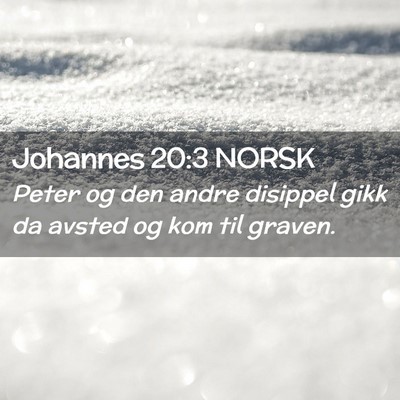 Picture 02 - Johannes 20:3 NORSK - Peter og den andre disippel gikk da avsted og kom - Bible Verse Picture