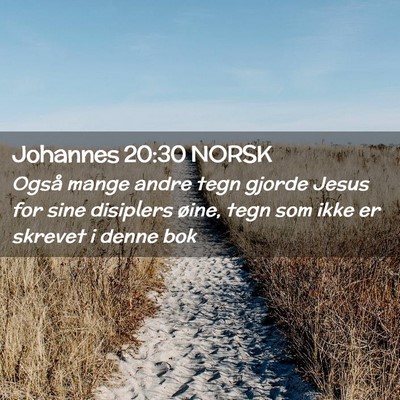 Picture 02 - Johannes 20:30 NORSK - Også mange andre tegn gjorde Jesus for sine - Bible Verse Picture