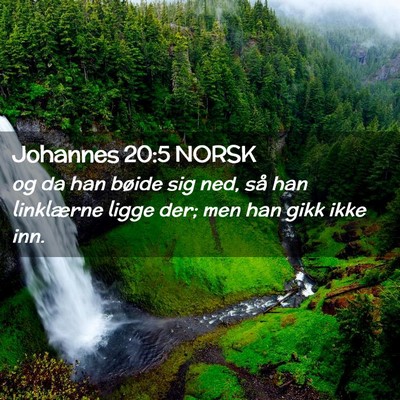 Picture 02 - Johannes 20:5 NORSK - og da han bøide sig ned, så han linklærne - Bible Verse Picture