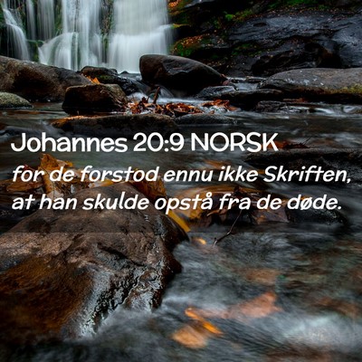 Picture 02 - Johannes 20:9 NORSK - for de forstod ennu ikke Skriften, at han skulde - Bible Verse Picture