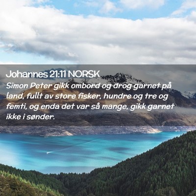 Picture 02 - Johannes 21:11 NORSK - Simon Peter gikk ombord og drog garnet på land, - Bible Verse Picture