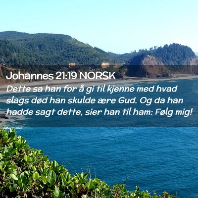 Picture 02 - Johannes 21:19 NORSK - Dette sa han for å gi til kjenne med hvad slags - Bible Verse Picture