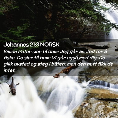 Picture 02 - Johannes 21:3 NORSK - Simon Peter sier til dem: Jeg går avsted for å - Bible Verse Picture