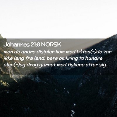 Picture 02 - Johannes 21:8 NORSK - men de andre disipler kom med båten(-)de var - Bible Verse Picture