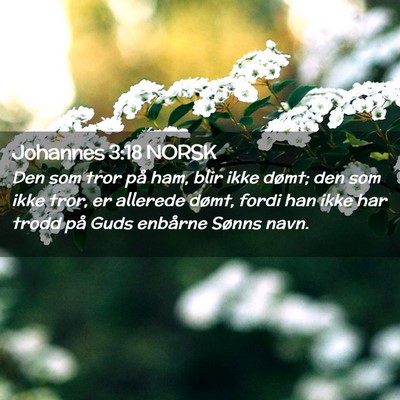 Picture 02 - Johannes 3:18 NORSK - Den som tror på ham, blir ikke dømt; den som - Bible Verse Picture