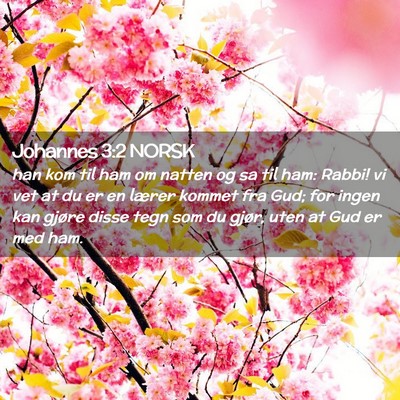 Picture 02 - Johannes 3:2 NORSK - han kom til ham om natten og sa til ham: Rabbi! - Bible Verse Picture