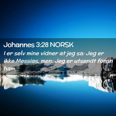 Picture 02 - Johannes 3:28 NORSK - I er selv mine vidner at jeg sa: Jeg er ikke - Bible Verse Picture