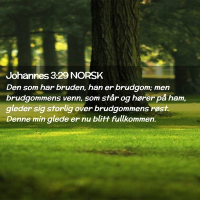 Picture 02 - Johannes 3:29 NORSK - Den som har bruden, han er brudgom; men - Bible Verse Picture