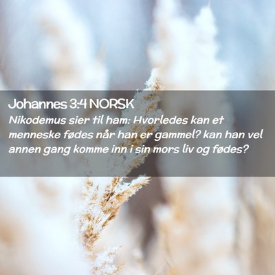 Picture 02 - Johannes 3:4 NORSK - Nikodemus sier til ham: Hvorledes kan et menneske - Bible Verse Picture