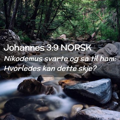 Picture 02 - Johannes 3:9 NORSK - Nikodemus svarte og sa til ham: Hvorledes kan - Bible Verse Picture