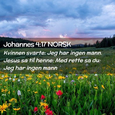 Picture 02 - Johannes 4:17 NORSK - Kvinnen svarte: Jeg har ingen mann. Jesus sa til - Bible Verse Picture